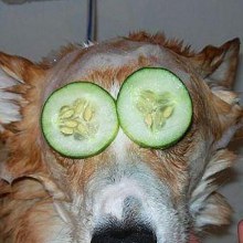 ยิ้มนิดน๊า