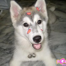 ชื่อ ยูนิ ค่ะ