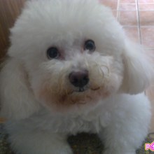 ดูเล่น ๆ ค่ะ