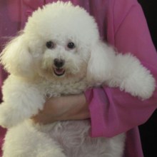 ดูเล่น ๆ ค่ะ