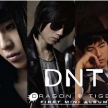 DNT [Dragon N Tiger]
