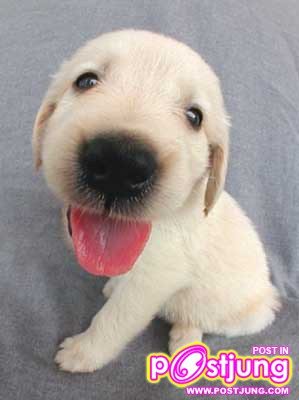 น่ารักนะ