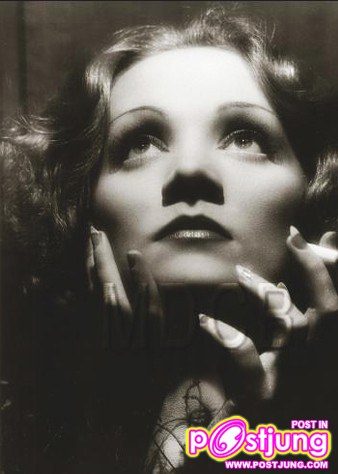 Marlene_Dietrich