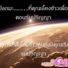 แปลก....แต่จริง  ใครทำอยู่เลิกซะนะ