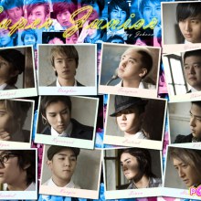 E.L.F  Super junior *
