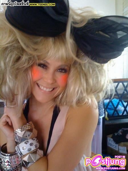 นางแมวป่าวอะ