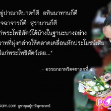 ฤาษีที่จบปริญญา และบวชใจในเมือง
