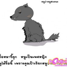 เรื่องของคนใจหมา กับ หมาน้อยน่าสงสาร