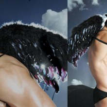 ผู้ชายมีปีก