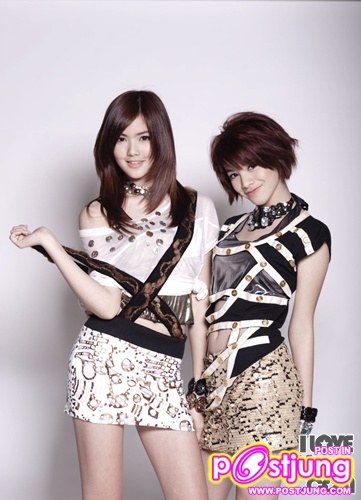 KAT PAT [แคท แพท]