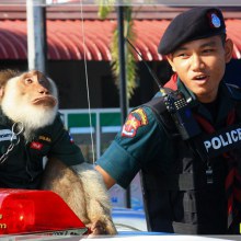 เจ้าสันติสุข กับ ยุทธการใต้สันติสุข