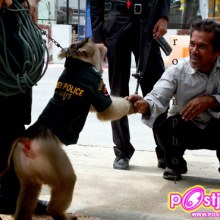 สันติสุข พรมดาว จับมือทักทายกับพี่น้องชาวไทยมุสลิม