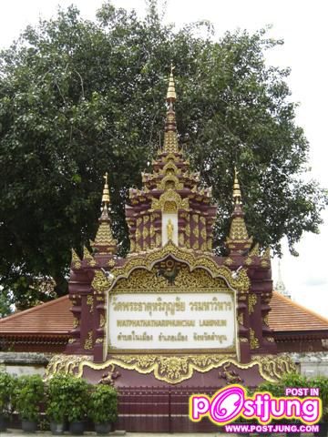 วัดพระธาตุหริภุญชัยวรมหาวิหาร ประจำปีไก่