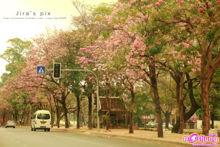 คูเมือง