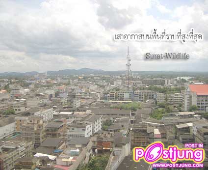 นครสุราษฎร์ธานี