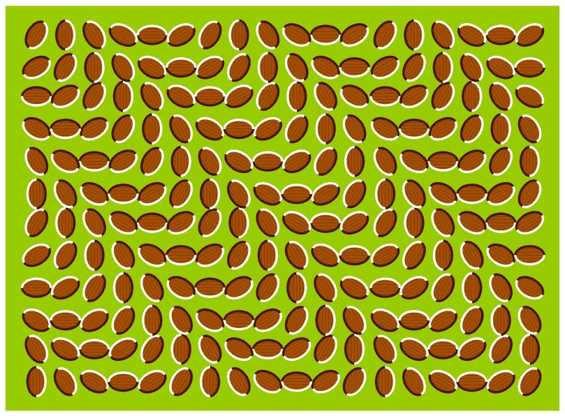 งงไปกับรูป3มิติ