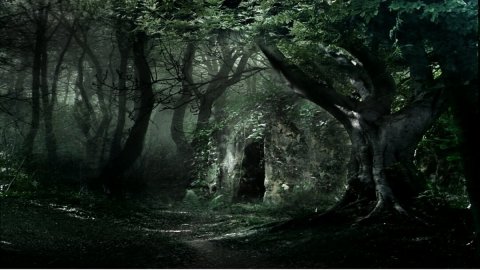 เมื่อมีเสียงแปลกอยู่ในป่าคุณจะไปไหม?
