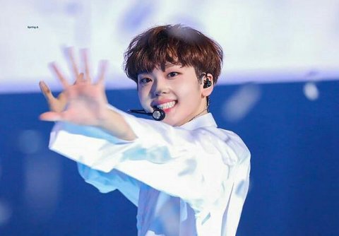 ซง ฮยอนจุง
