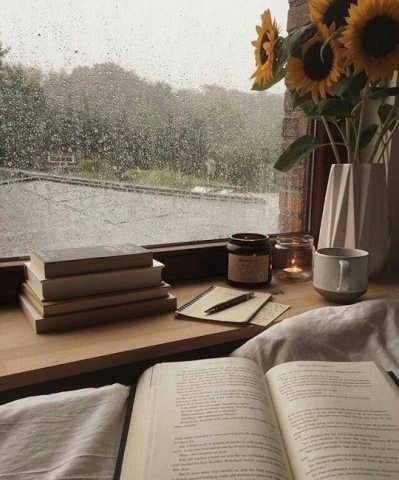 อ่านหนังสือคนเดียว/อยู่คนเดียว