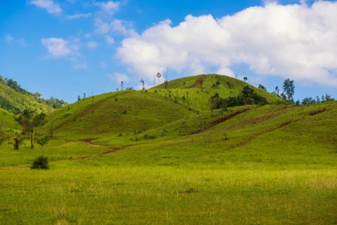 ภูเขา