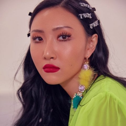 Hwasa -twit