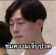 ใบเฟิร์น: