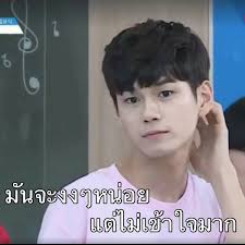 ใบเฟิร์น: