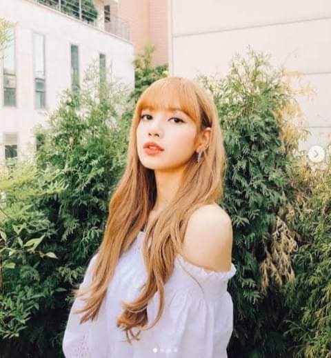 lisa