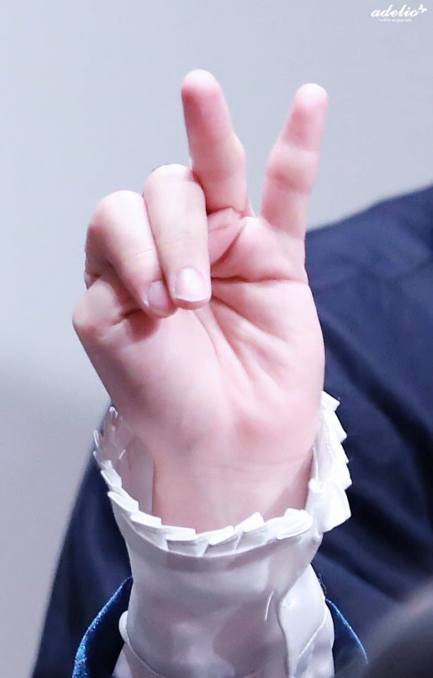 ภาพนี้คือมือของใคร