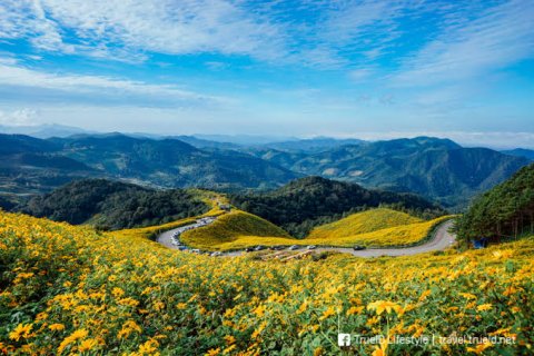 ภูเขา