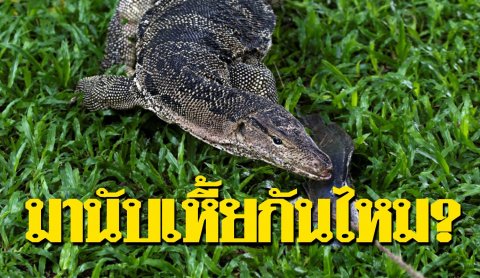 เหีย