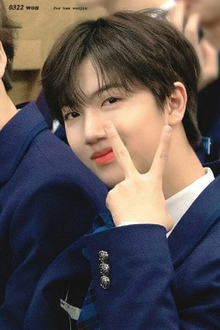 Ham Wonjin