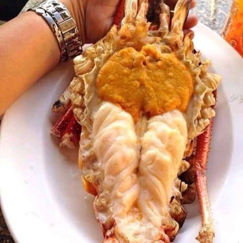 กุ้งอะราสกา/พิมถืกบ่ว่ะ