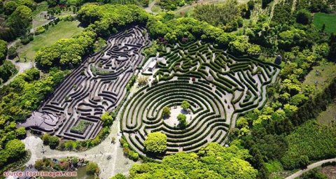 สวนเขาวงกต (Jeju Maze Land)