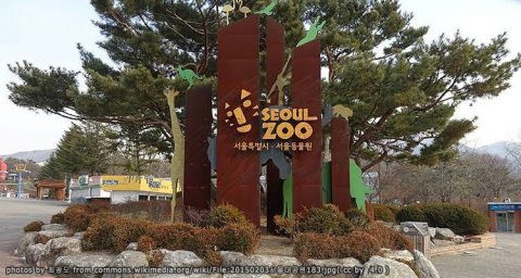สวนสัตว์โซล (Seoul Zoo)