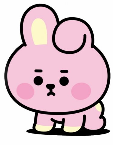 COOKY