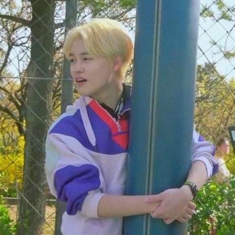 Chenle