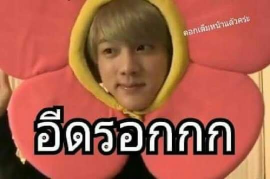 ฮรุกด่าเก๊าตามมาย