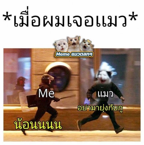 5555 เเอด:เพื่อ