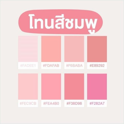 สีชมพู