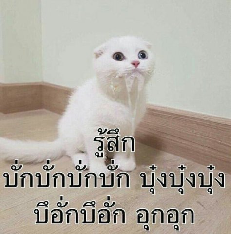 แหกปากร้องเพลง.