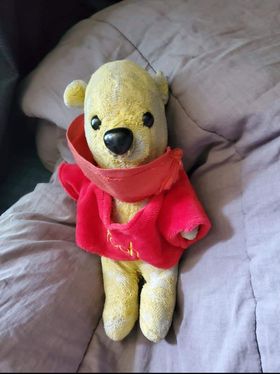 Winnie-the-Pooh