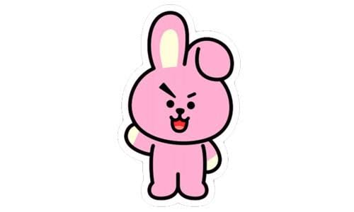 COOKY