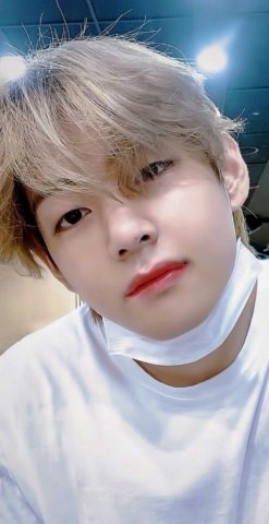 태형