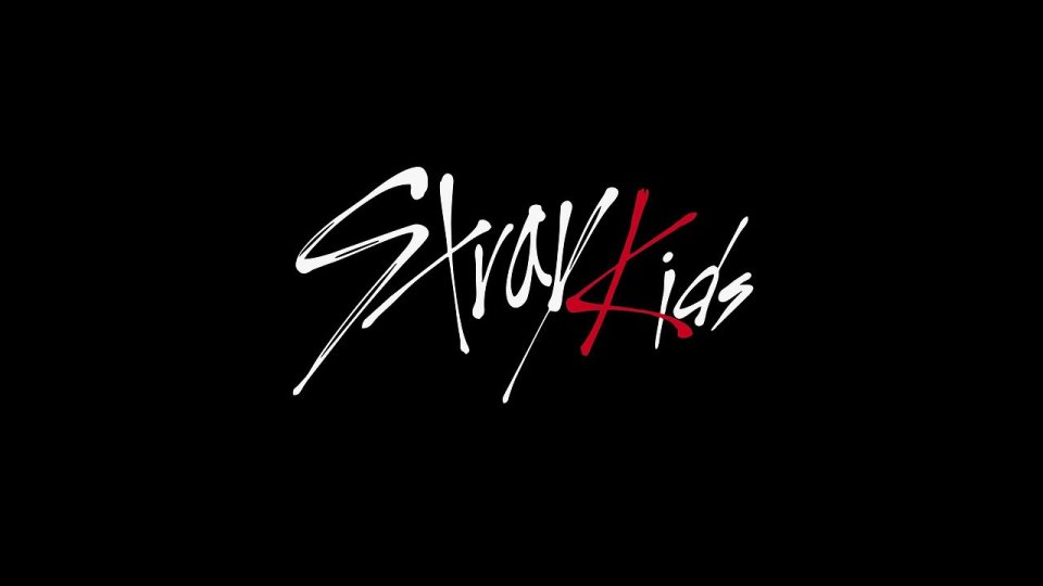 ใครเคยปรากฏตัวในรายการ Stray Kids