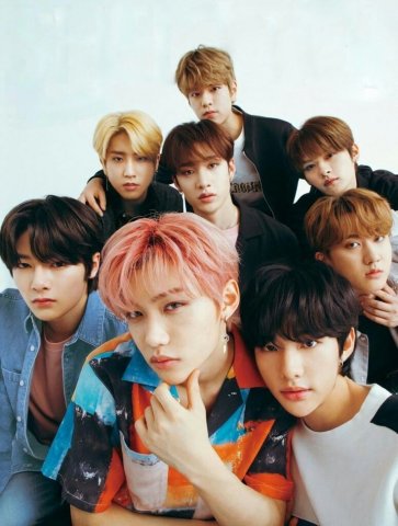 Stray kids