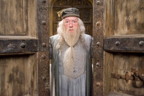 Albus Dumbledore