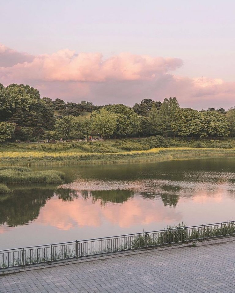 장소와 친한 친구 🏞️