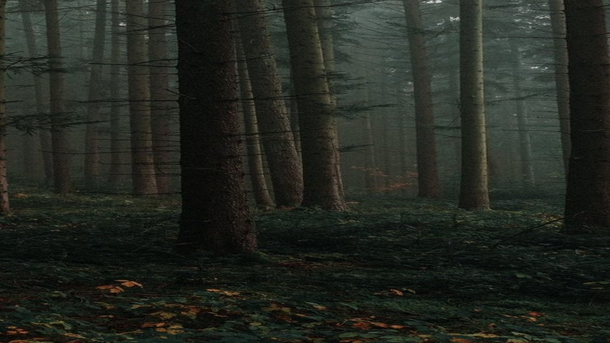 เมื่อคุณติดอยู่ในป่า คุณจะตายหรือจะรอด