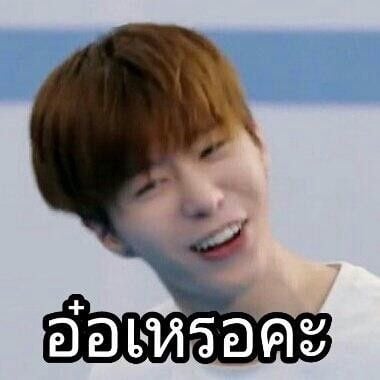 อ๋อ!!!!!จริงเหรอไม่รู้เลยเนี่ย?คิดว่าตอเเหล?